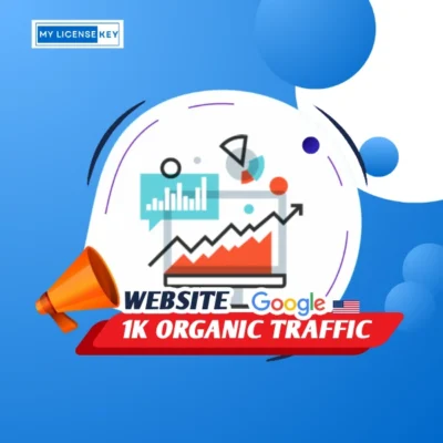 1000 Organic Website Traffic